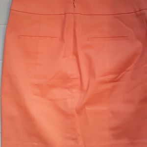 NWT Ann Taylor Madison Skirt